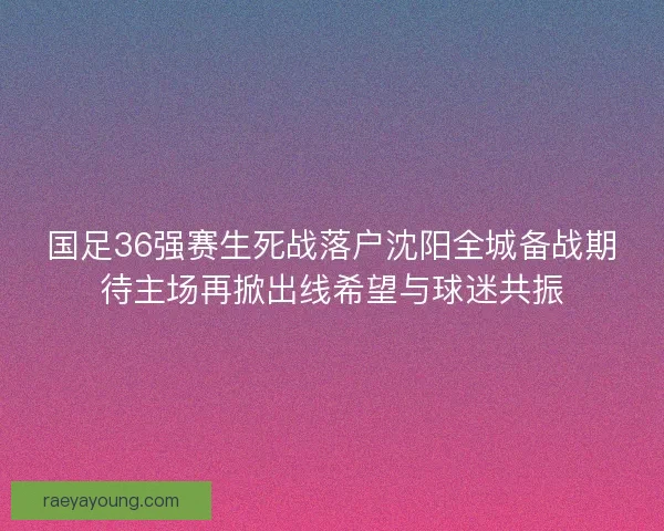 国足36强赛生死战落户沈阳全城备战期待主场再掀出线希望与球迷共振