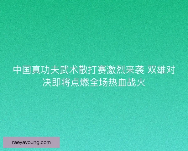 中国真功夫武术散打赛激烈来袭 双雄对决即将点燃全场热血战火 中国真功夫武术散打赛激烈来袭 双雄对决即将点燃全场热血战火